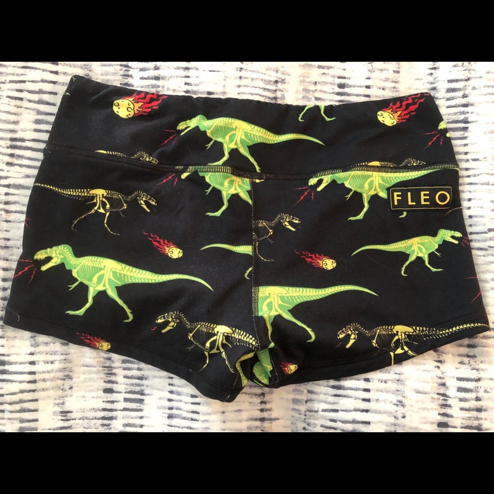 Fleo run tyrannosaurus run!
